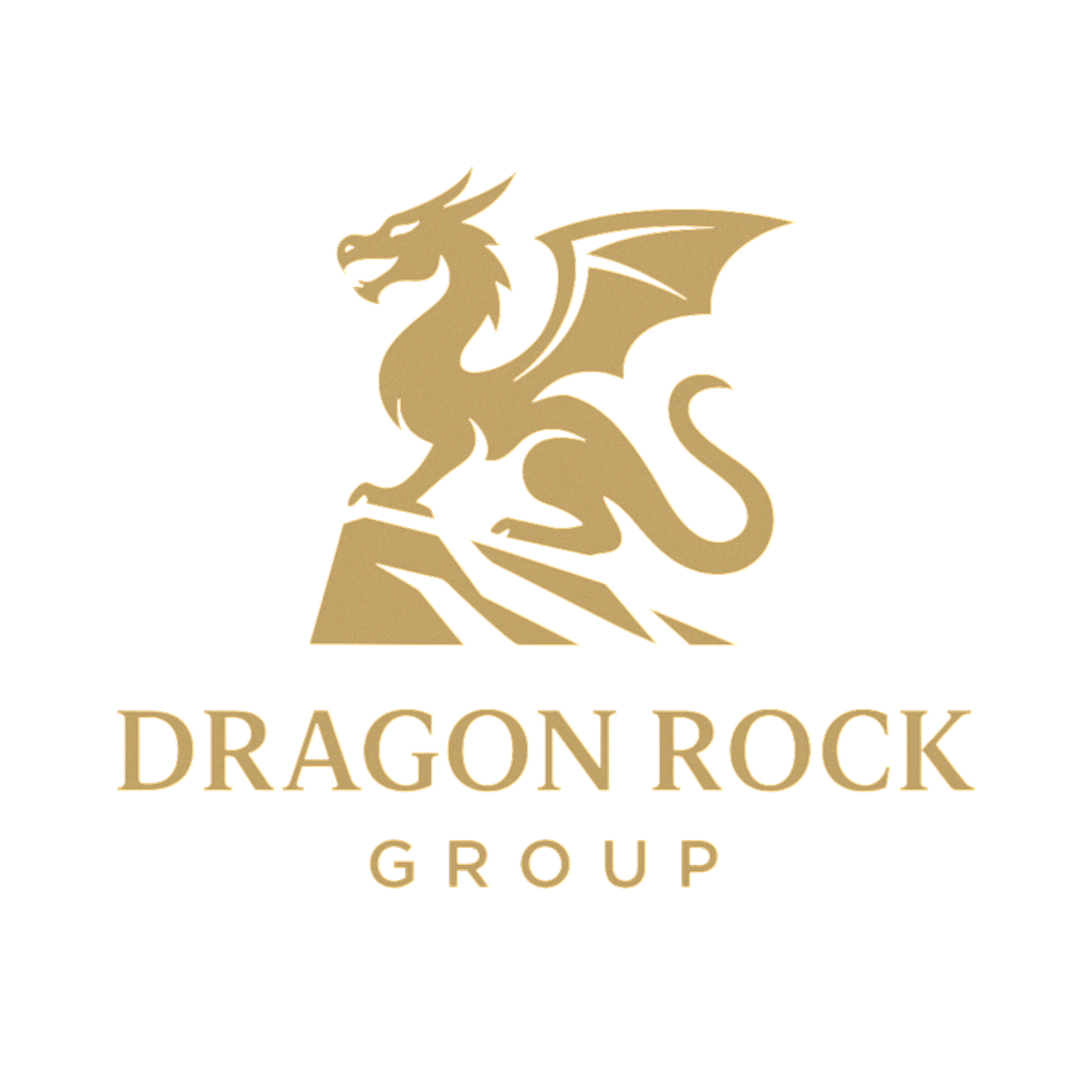 Dragon Rock Group Limited logo